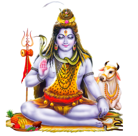 shiv (1)
